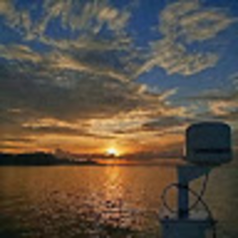 Meet your Posher, Niu_